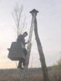 /album/my-local-birding-gallery/trying-to-carry-the-barn-owl-box-up-the-tree-jpg/